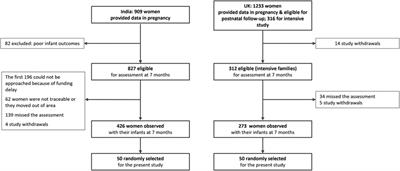 Cross-cultural differences in early caregiving: levels of mind-mindedness and instruction in UK and India